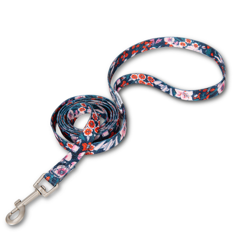 Winhyepet Haustierleine mit Bl – Ethnic Fashion Walk Bewertung und Preis