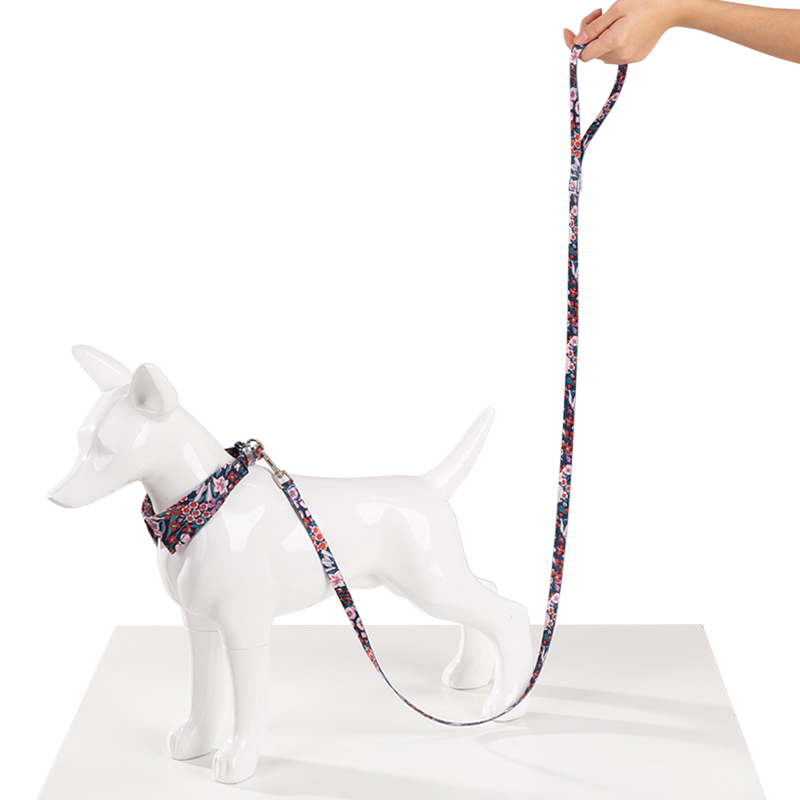 Winhyepet Haustierleine mit Bl – Ethnic Fashion Walk Bewertung und Preis